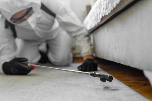 Professional Bed Bug Control technician working in Coral Gables, FL