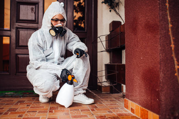 Reliable Bed Bug Control contractor in Coral Gables, FL by Nex Pest Control